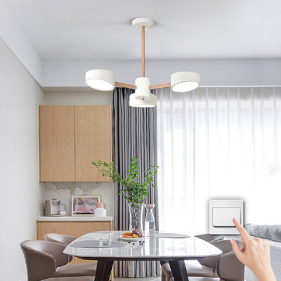 Diondre 3-Light Unique LED Chandelier