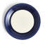 Royal Doulton Pacific Glaze 11.4in Dinner Plate