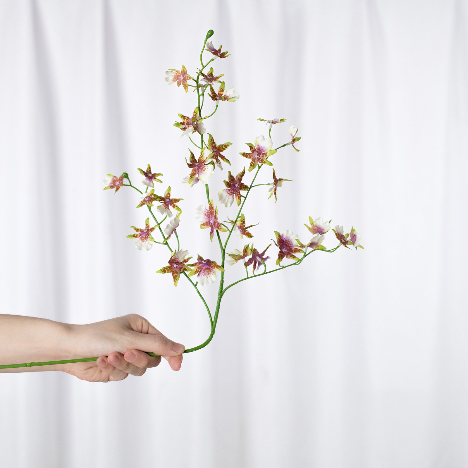 Audet Cherry Blossom Stems, 31.59" x 4", White-Pink-Yellow