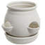 Ceramic Pot Planter