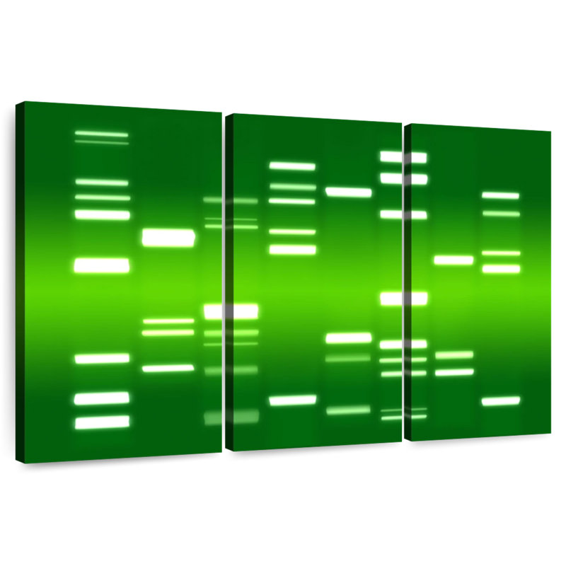 ADN vert, H 24 po x l 38 po