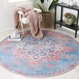 Demetrius Oriental Red/Blue Area Rug