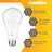20 W A21 E26/Medium (Standard) LED Smart Bulb-58294530