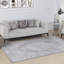Oriental Area Rug-97802155