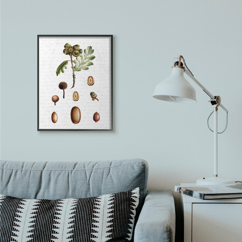 «Tree Seeds Nuts Fall Autumn Seasonal Design», impression, H 24 po x l 30 po, Giclée encadrée noir minuit