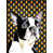 Boston Terrier (White and Black)
