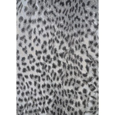 Tapis intérieur / extérieur Amreece