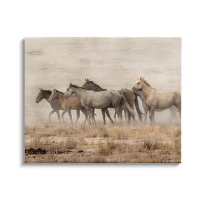 Art mural sur toile campagne au galop par Danita Delimont