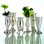 Queen Anne's Set of 6 Silver-Plated Brass Vases – Antique-Inspired Decorative Flower Vessels