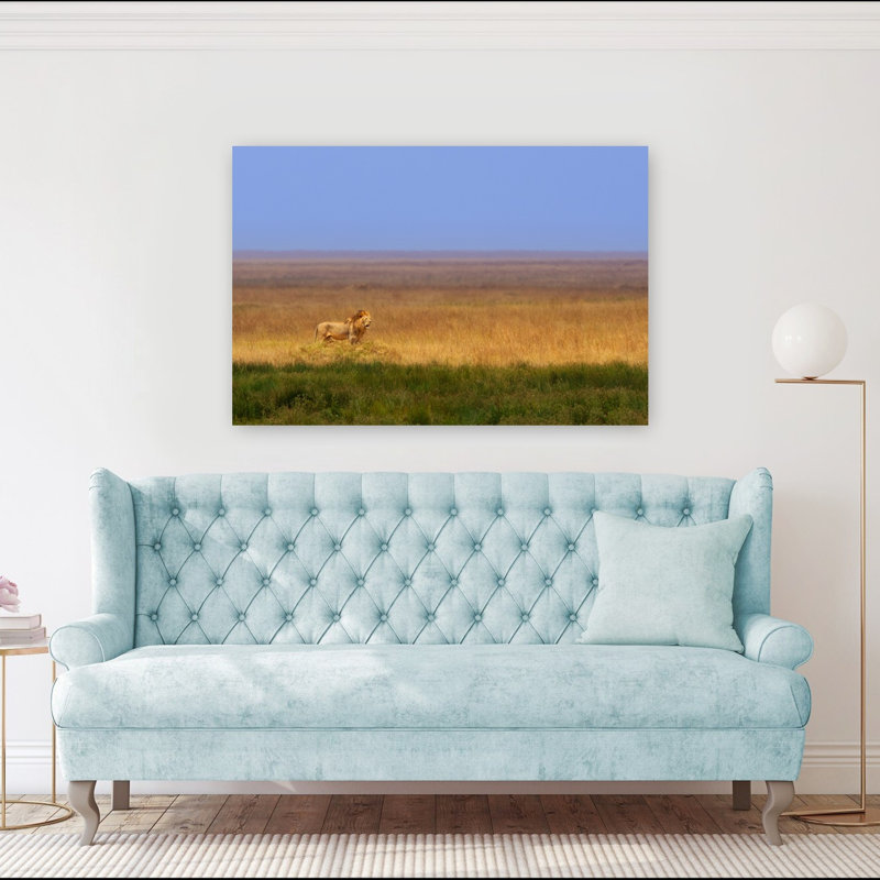 Majestic African Lion Peaceful Serene Abstract Cat Lion Landscape Nature Wall Art Print 1 Piece Wrapped Canvas Wall Art