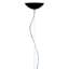 FL/Y 1 - Light Pendant
