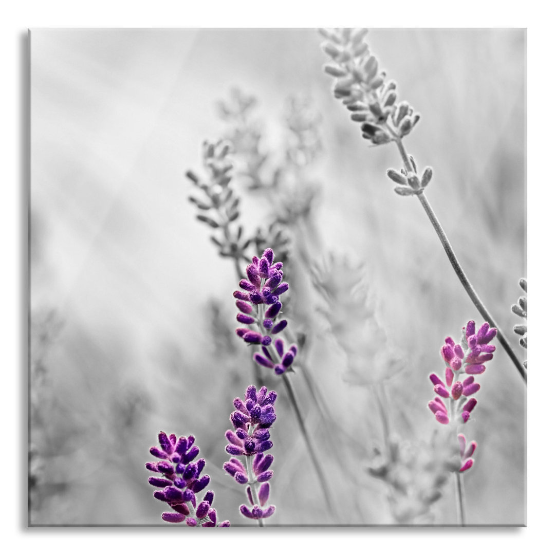 Glasbild Beautiful Lavender