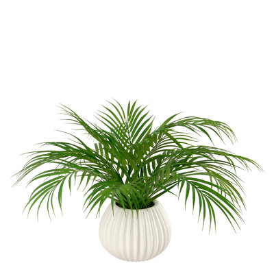 Frond Of You
