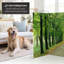 70.88" x 63" Double Sided Path of Life 4 Panel Room Divider-1819169071