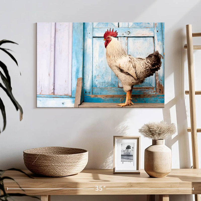 Coq domestique Crowle, H 16 po x l 24 po