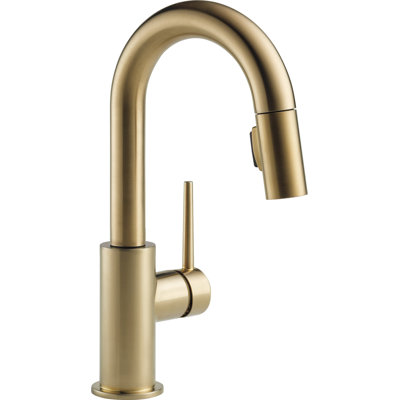 Trinsic Pull-Down Bar Faucet