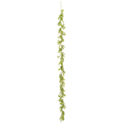Guirlande 6 'Boxwood