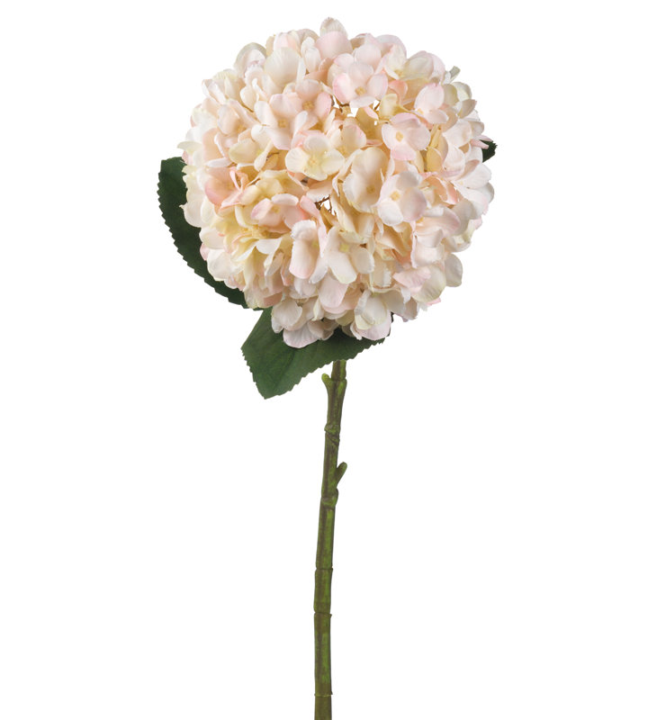 Hydrangea Arrangement
