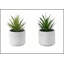 Ensemble de 2 plantes succulentes artificielles, 23 cm de hauteur, pots en ciment blanc, décoration moderne et contemporaine