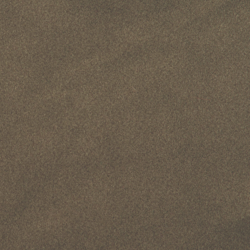 Wooded River Comfy Olive - Fabric by the Yard