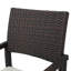 Chaise de salle à manger Island de 2 chaises modernes brun avec sièges rembourrés pour une utilisation en plein air