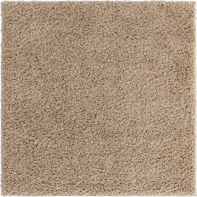 Indoor Rug