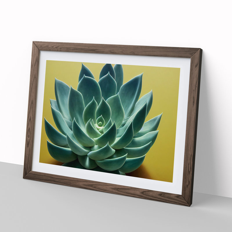 Splendorous Succulent Plant - Framed Print, 46cm H x 64cm W x 2cm D, Walnut
