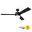 Franchek 52'' Ceiling Fan with LED Lights-2049441946