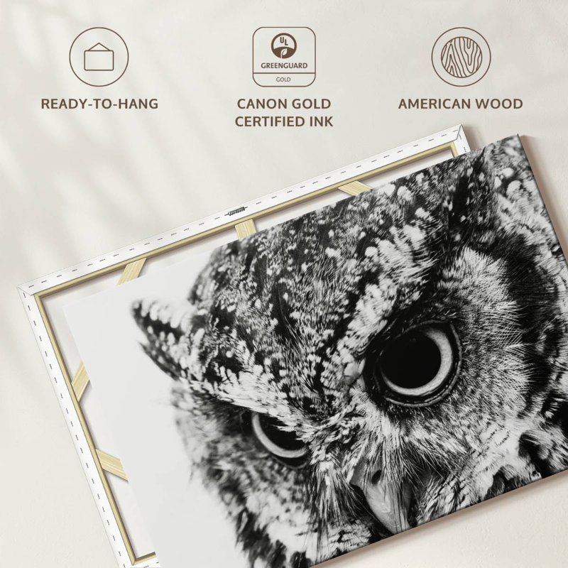 Brampt Staring Owl, 26" H x 39" W