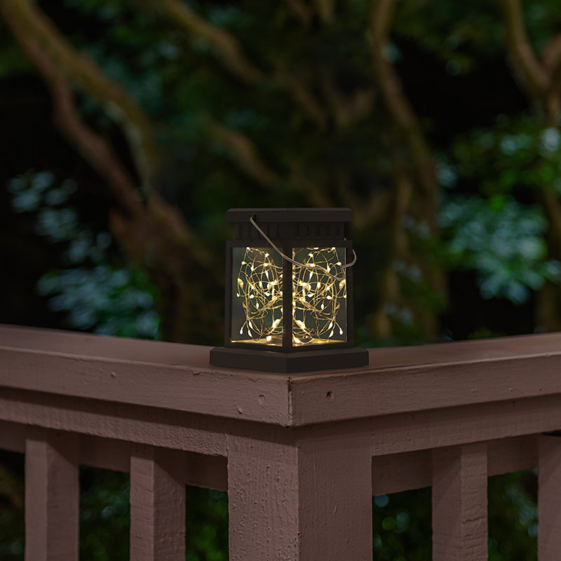 Selke Outdoor Hanging Lantern