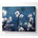 Opened Snowdrops - Wrapped Canvas Print