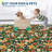 Modern Floral Area Rug 5x7 for Bedroom Non-Slip Low Pile Machine Washable Indoor Easy-Clean Carpet Stain-Resistant Soft Living Room Accent Flower Rug Fade-Resistant Premium Carpet for Playroom Green-1379800487-1379800486