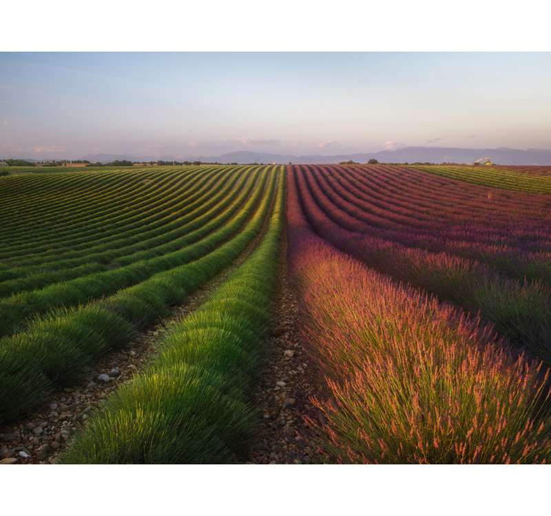 Wrapped Canvas Print, 50.8 cm H x 76.2 cm W
