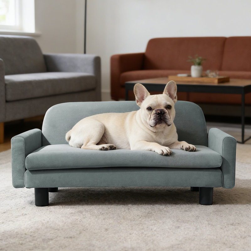 Petit canapé pour chien facile à installer avec coussin lavable | Lit d'intérieur pour animal de compagnie, assemblage sans outil, durable et résistant aux rayures pour les chiens