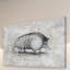 « armadillo ii », reproduction d’art sur toile tendue-21130167