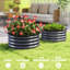 Planter-1737467068