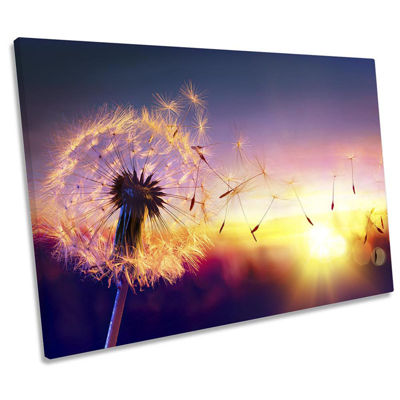 Dandelion Clock Floral - Wrapped Canvas Print, 61cm H x 91.4cm W x 4cm D
