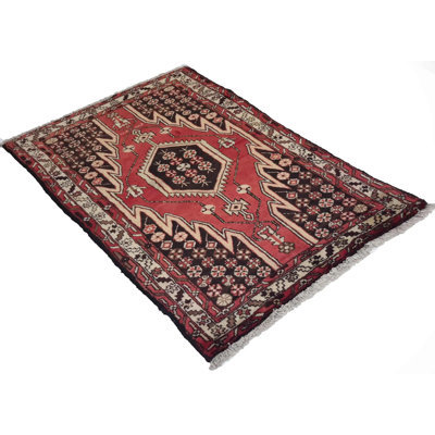 Piermauro Oriental Indoor Rug