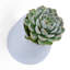 Pot de fleurs mural en plastique-734562131-734562130