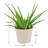 6" Azalea Plastic Pot Cover - White