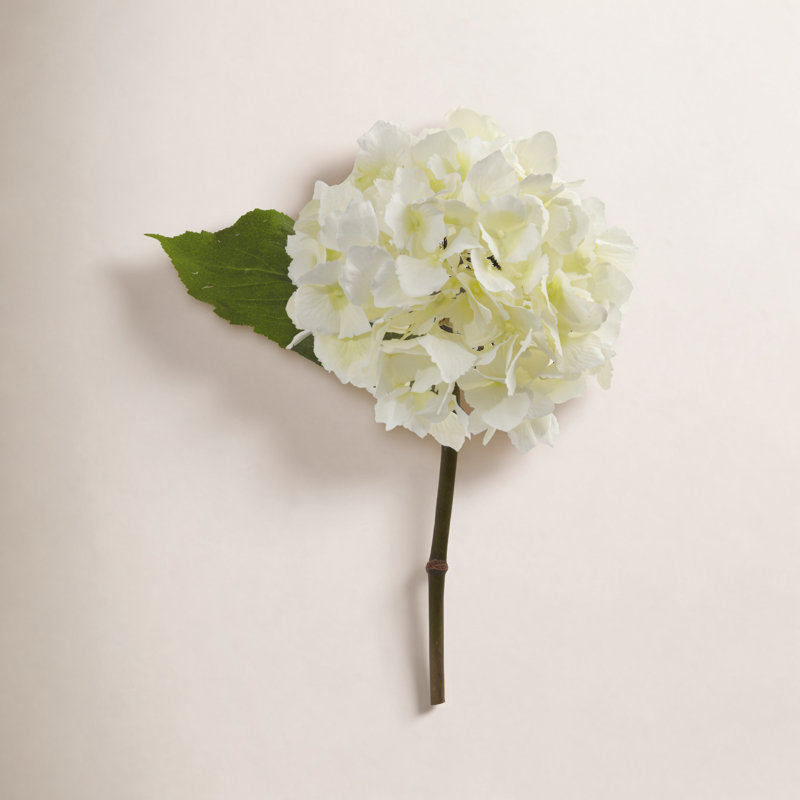 Hydrangea Arrangement, Cream