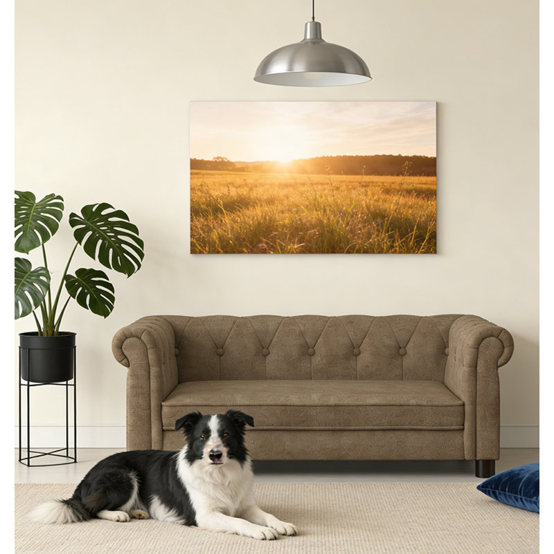 Canapé-lit pour chien durable, Brun