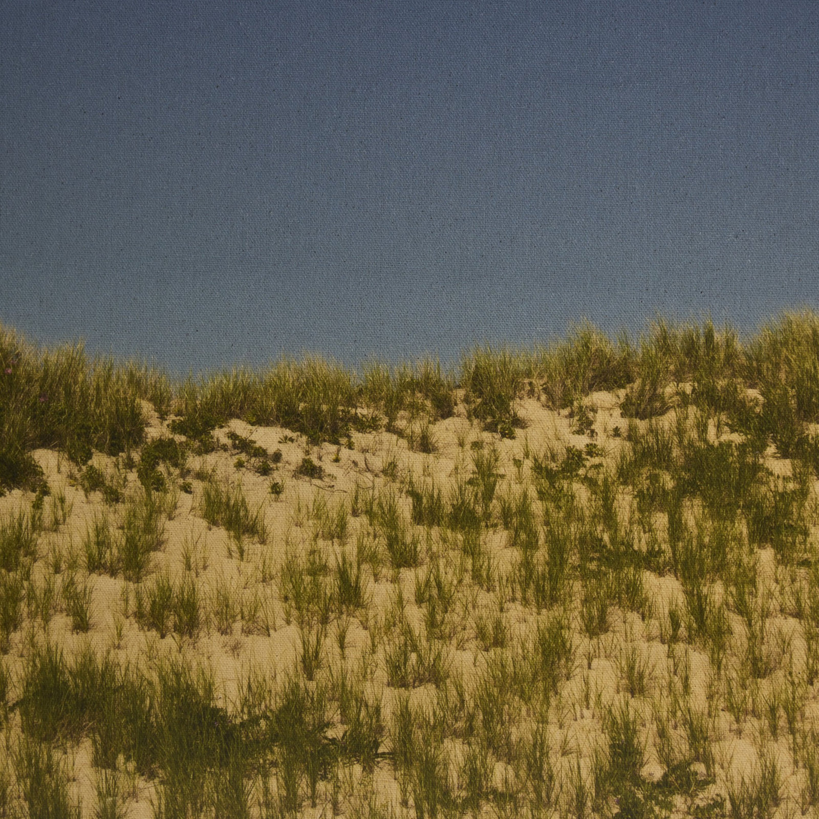 "Before The Coastline" by Shade Degges, 36" H x 48" W