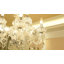 Lustre en cristal 12 lumières Mondeja