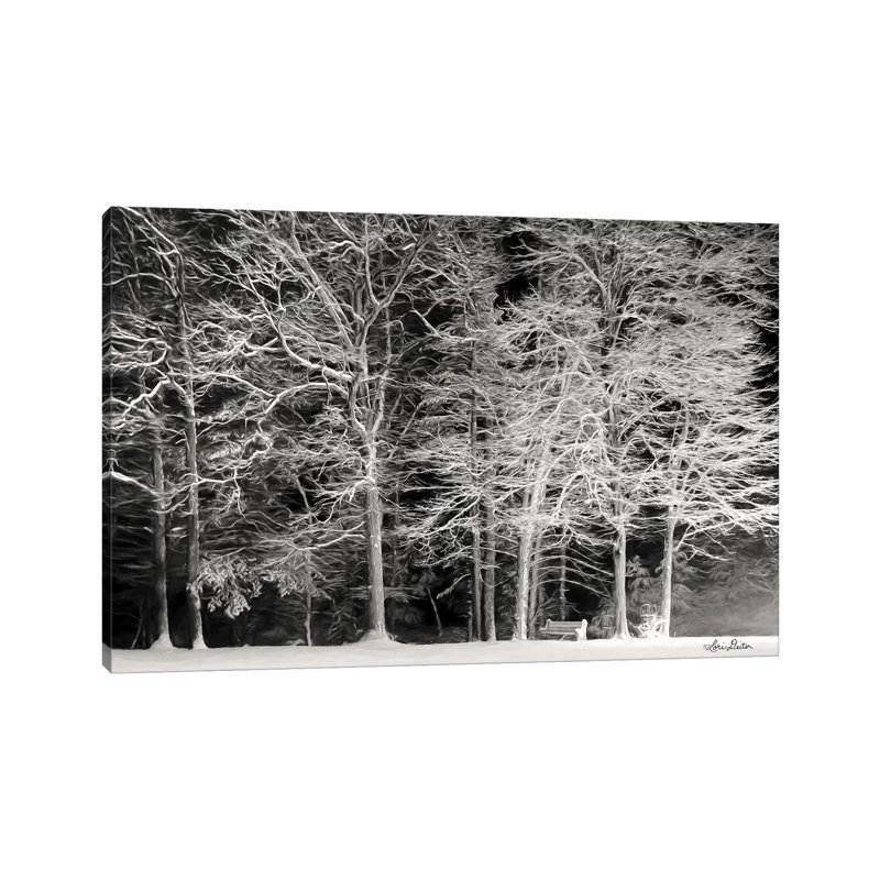 Snowy Trees by Lori Deiter - Wrapped Canvas Print, 20.32 cm H x 30.48 cm W