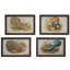Peacock Pheasant Vintage Nature Wall Art Set – Framed Prints, Set of 4