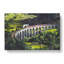 Steam Train In Scotland Abstract - Wrapped Canvas Painting-56642612