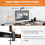 Darshana Desk Lamp