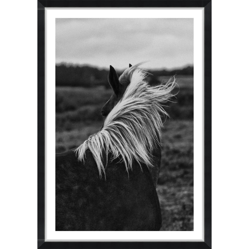Horse Back - Photographie avec cadre photo