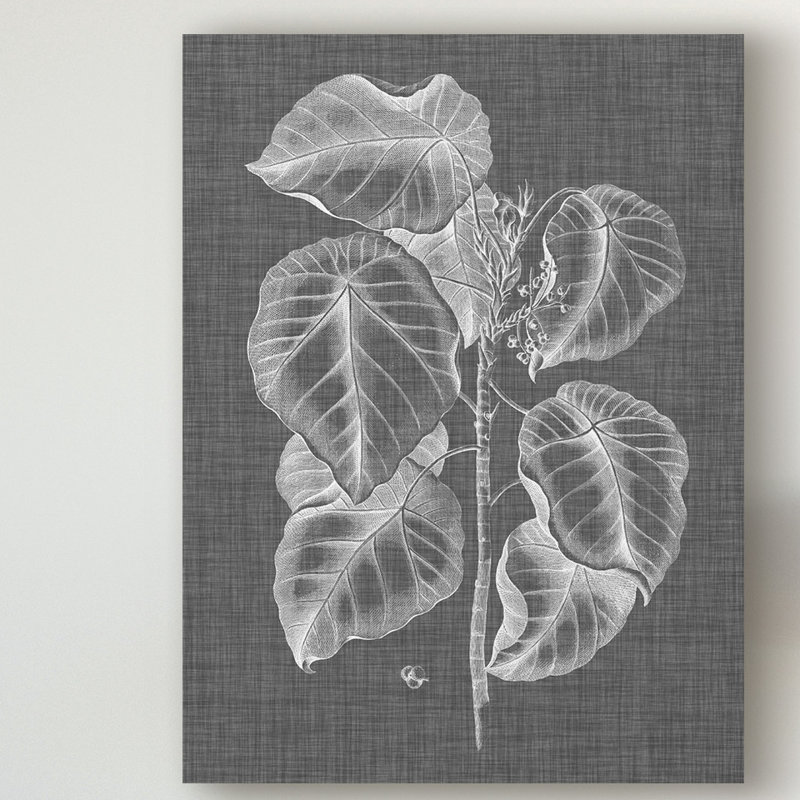 «Graphic Foliage IV» par Vision Studio - reproduction de dessin sur toile, H 24 po x l 18 po x P 2 po